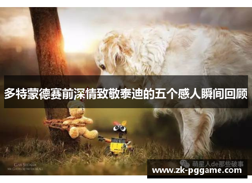 多特蒙德赛前深情致敬泰迪的五个感人瞬间回顾