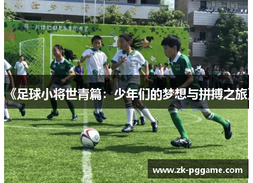 《足球小将世青篇：少年们的梦想与拼搏之旅》