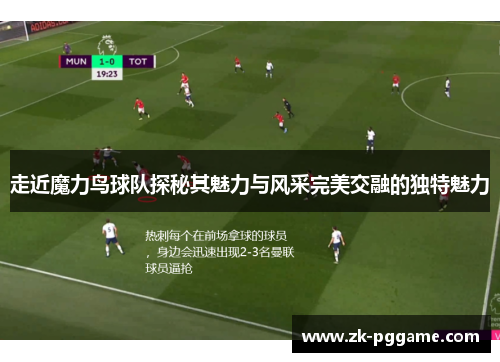 走近魔力鸟球队探秘其魅力与风采完美交融的独特魅力